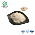Natural Plant Extract Oat Powder for Food